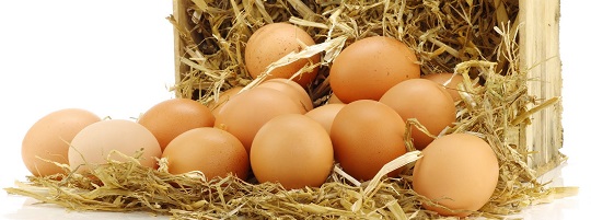 Ale jaja… czyli jaja wracają do łask